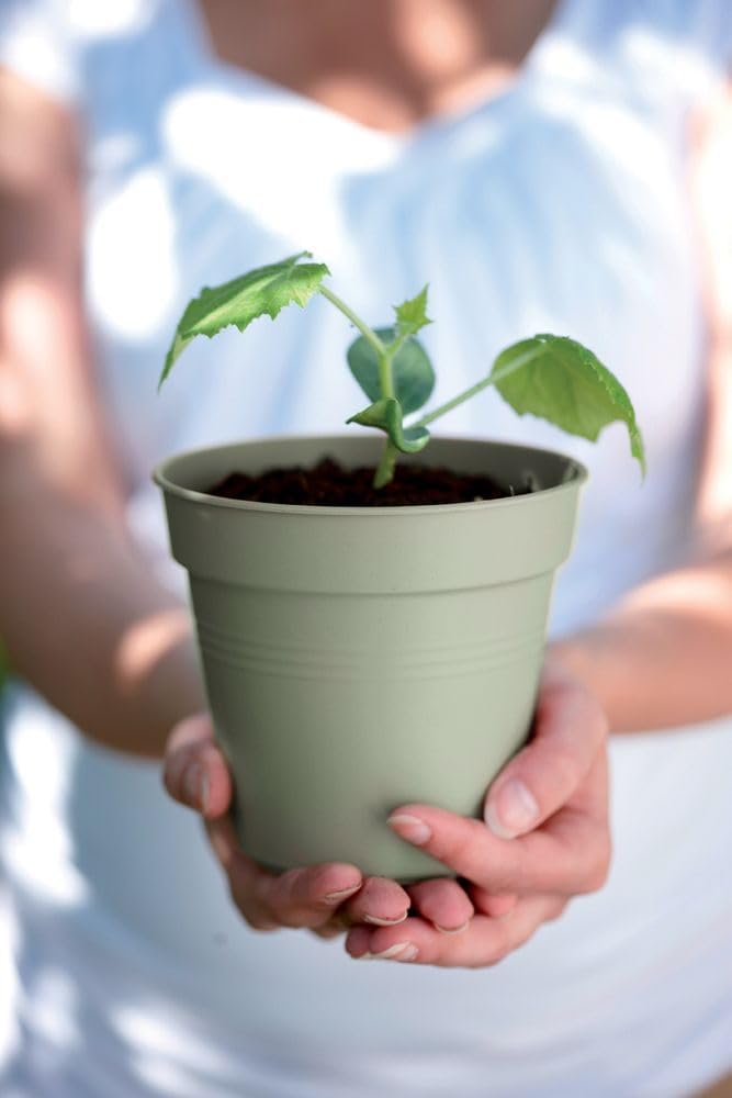 VASO GREEN BASICS GROWPOT 21CM VERDE PIETRA