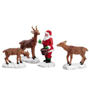 BABBO NATALE CON RENNE - SANTA FEEDS REINDEER