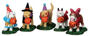 DOLCETTO O SCHERZETTO  - TRICK OR TREATING DOGS, SET OF 5