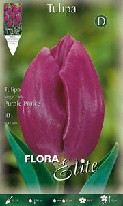 Bulbi di Tulipano Single Early Purple Prince (CONFEZIONE DA 7 BULBI)