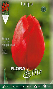 Bulbi di Tulipano Single Late Kingsblood (CONFEZIONE DA 7 BULBI)