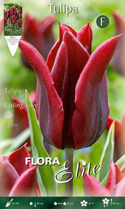 Bulbi di Tulipano Lily-Flowered Lasting Love (CONFEZIONE DA 7 BULBI)