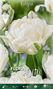 Bulbi di tulipano Double Late Mount Tacoma  (CONFEZIONE DA 7 BULBI)