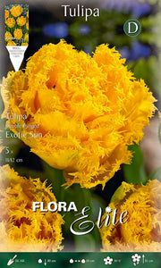 Bulbi di Tulipano Fringed Double Exotic Sun (CONFEZIONE DA 5 BULBI)