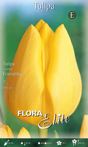 Bulbi di Tulipano Triumph Friendship (CONFEZIONE DA 7 BULBI)