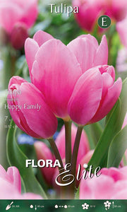 Bulbi di tulipano Multi-Flowering Longstemmed Happy Family (CONFEZIONE DA 7 BULBI)