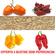 OFFERTA 5 BUSTINE SEMI DI PEPERONCINI A SCELTA