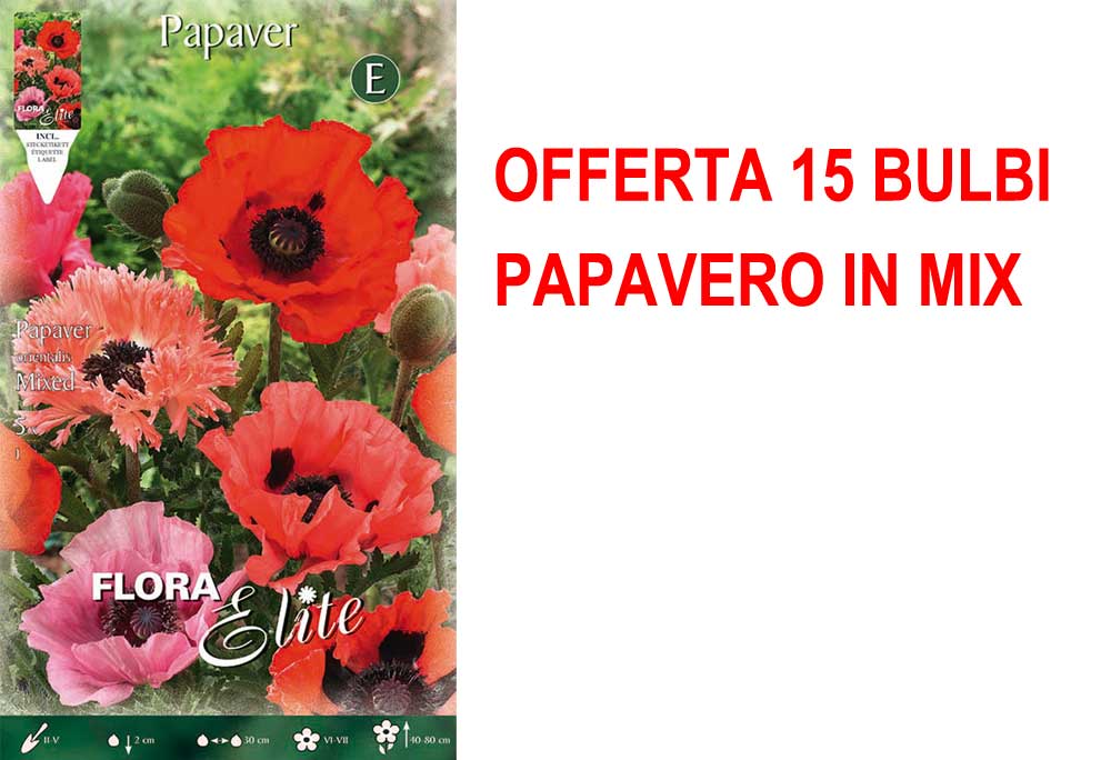 OFFERTA 15 BULBI PAPAVERO IN MIX DI COLORI