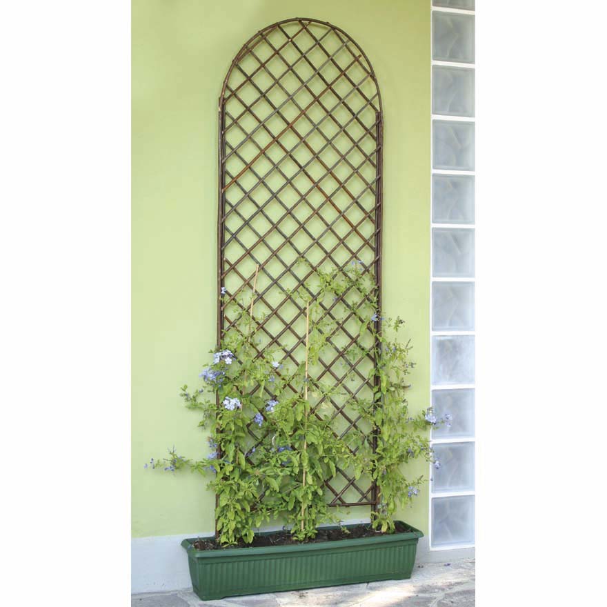 TRALICCIO ARCO IN SALICE NATURALE 120X60CM