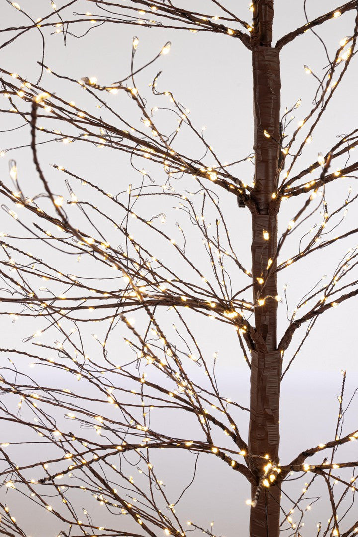 Albero Luminoso 2700 Microled D88x240h Marrone Christmas