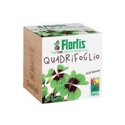 PLANTCUBE QUADRIFOGLIO 7.5X7.5X7.5 CM