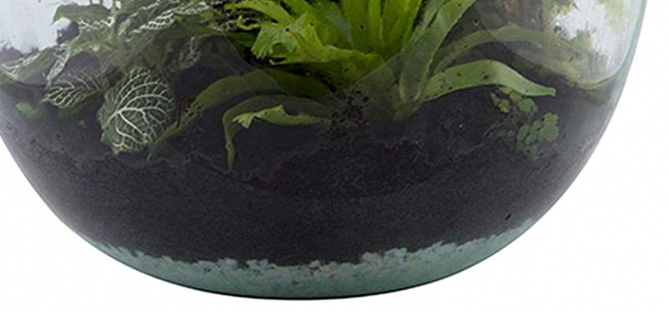 PIETRE DRENANTI 5 KG PER ECOSISTEMA TERRARIUM