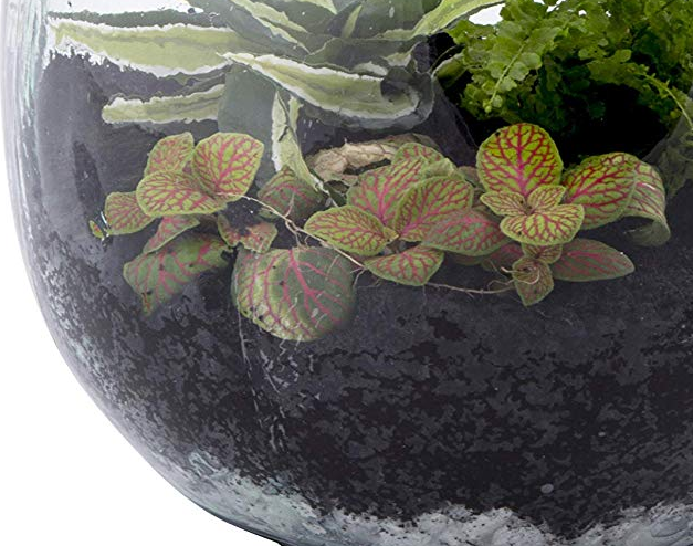 PIETRE DRENANTI 5 KG PER ECOSISTEMA TERRARIUM