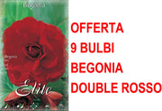 OFFERTA 9 BULBI BEGONIA DOUBLE ROSSO