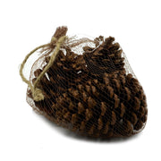 SACCHETTO 3 PZ PIGNA NATURALE