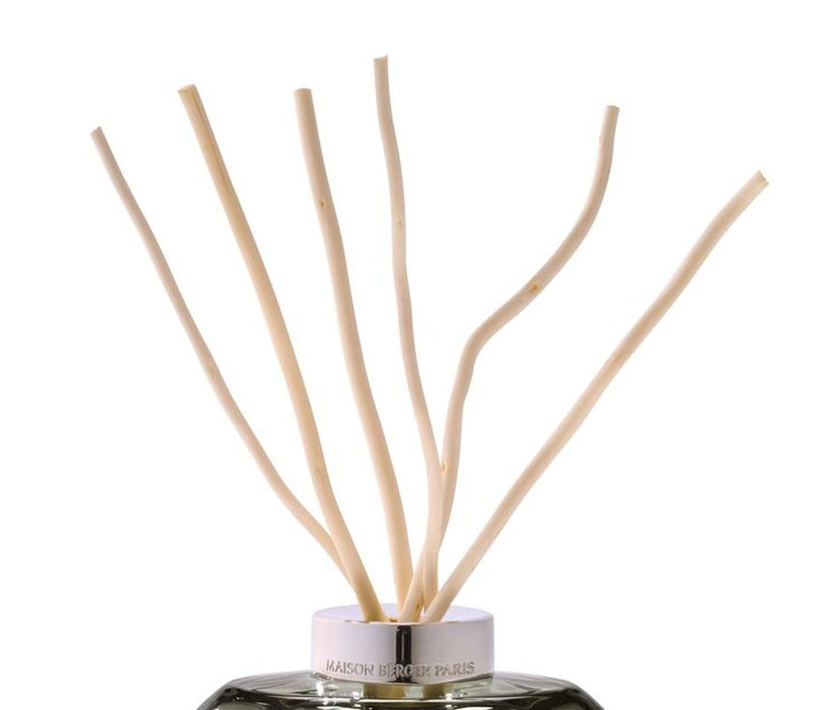 ASTUCCIO 6 BASTONCINI IN SALICE BIANCO PER BOUQUETS LAMPE BERGER