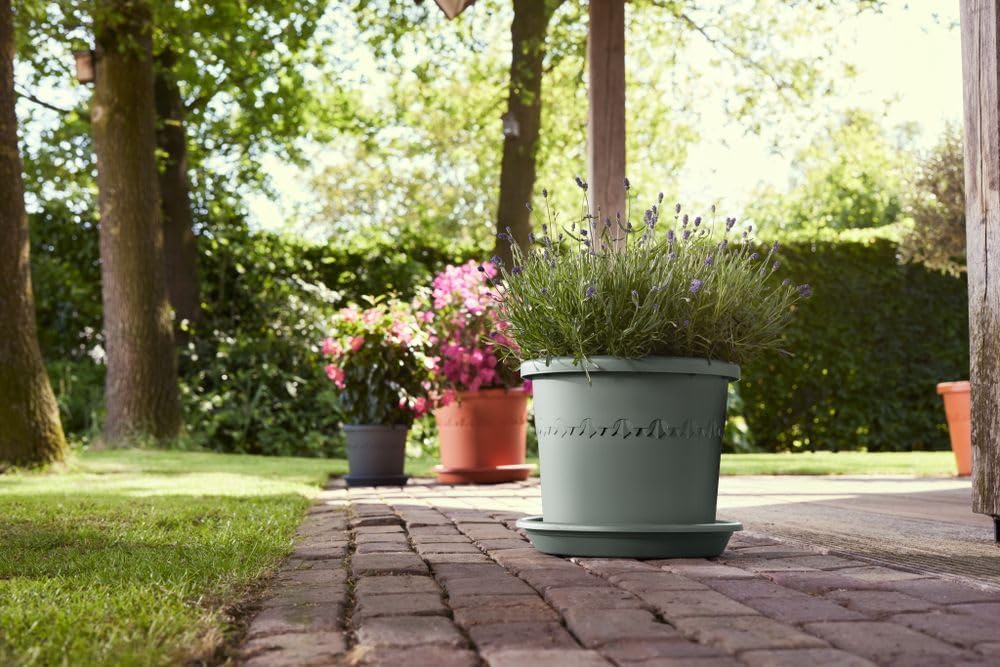 VASO ALGARVE CILINDRO 40CM VERDE TIMO