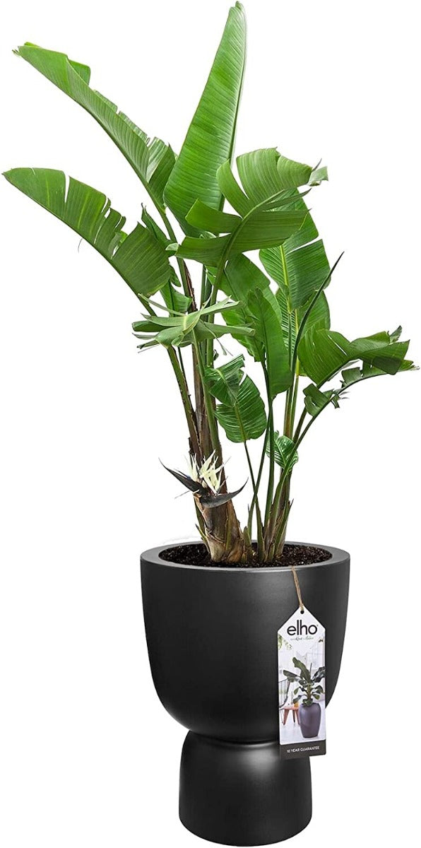 VASO PURE COUPE 41 BLACK