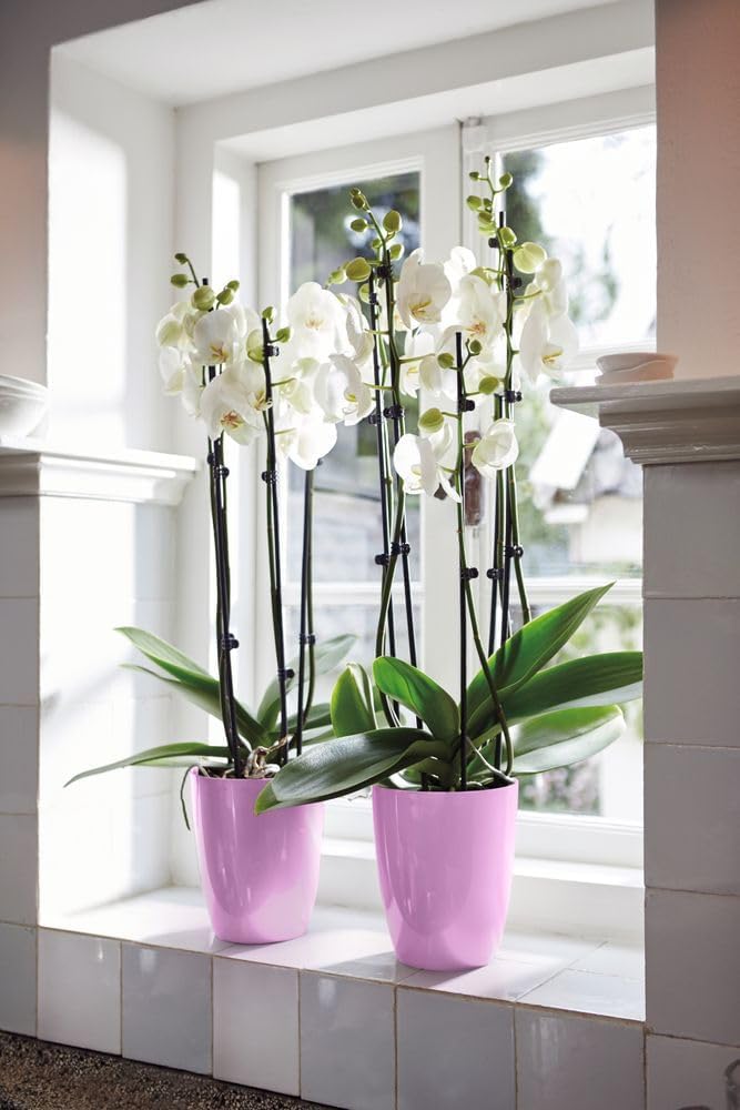 VASO BRUSSELS DIAMOND ORCHID HIGH 12,5CM VIVID VIOLET