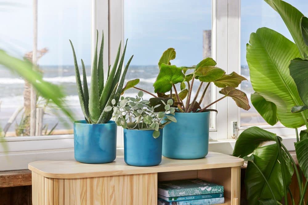 VASO THE OCEAN COLLECTION ROUND 22CM BLU ATLANTICO