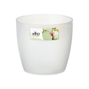 VASO BRUSSELS ORCHID 16CM TRASPARENTE