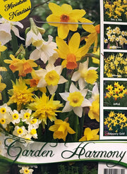 COLLEZIONE DI 50 BULBI NARCISI BOTANICI IN MIX