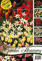 COLLEZIONE DI 75 BULBI TULIPANI IN MINIATURA MIX