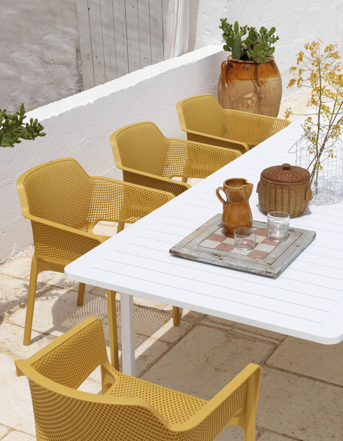 OFFERTA TAVOLO ALLORO ALLUNGABILE 210/280 + 6 POLTRONE NET COLORE A SCELTA