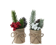 1 MINI ALBERO DI PINO CON BACCHE H15CM IN VASO DI JUTA MODELLO ASSORTITO