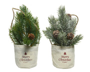 1 MINI ALBERO DI PINO CON PIGNE H24CM IN SACCHETTO NATALIZIO MODELLO ASSORTITO