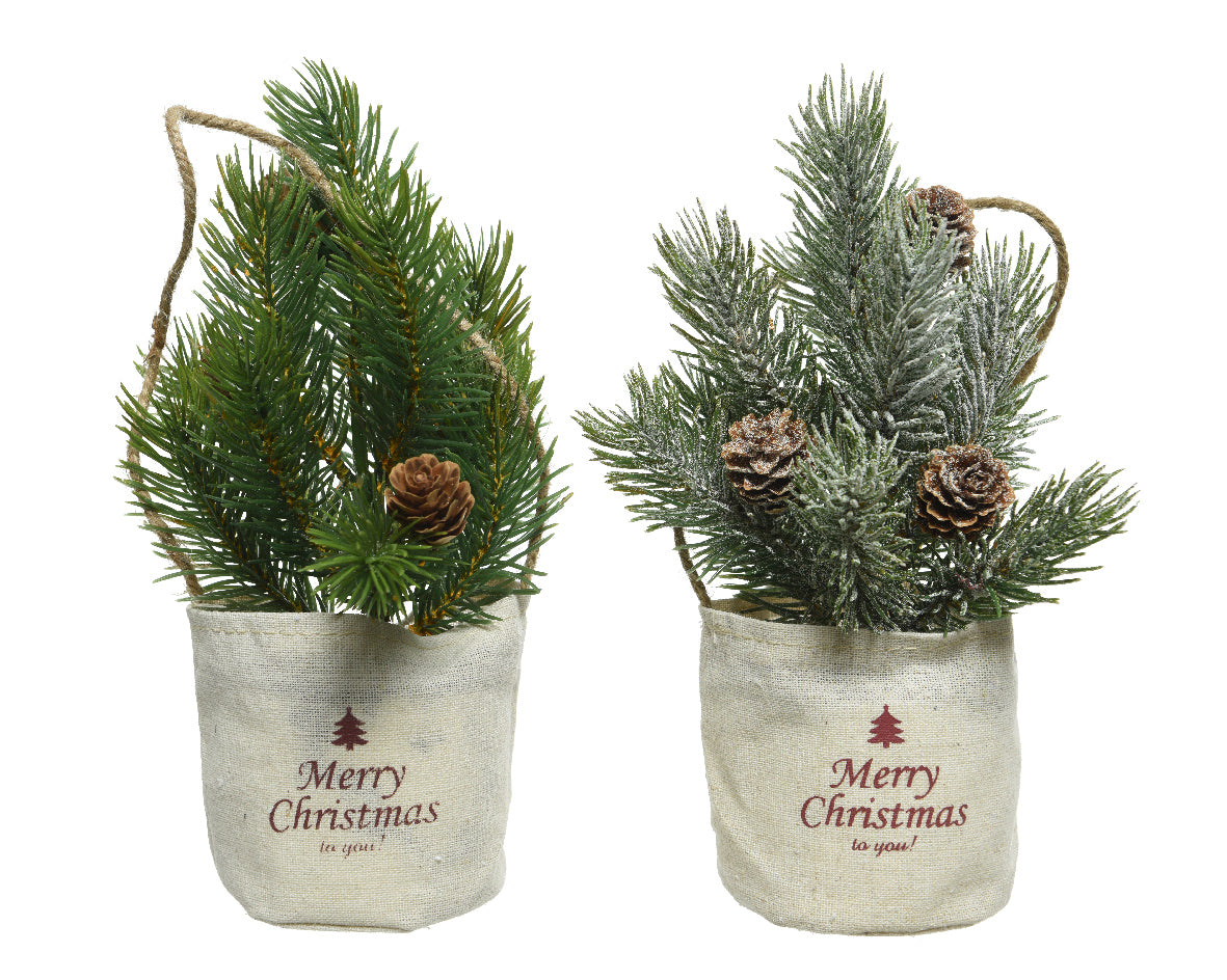 1 MINI ALBERO DI PINO CON PIGNE H24CM IN SACCHETTO NATALIZIO MODELLO ASSORTITO