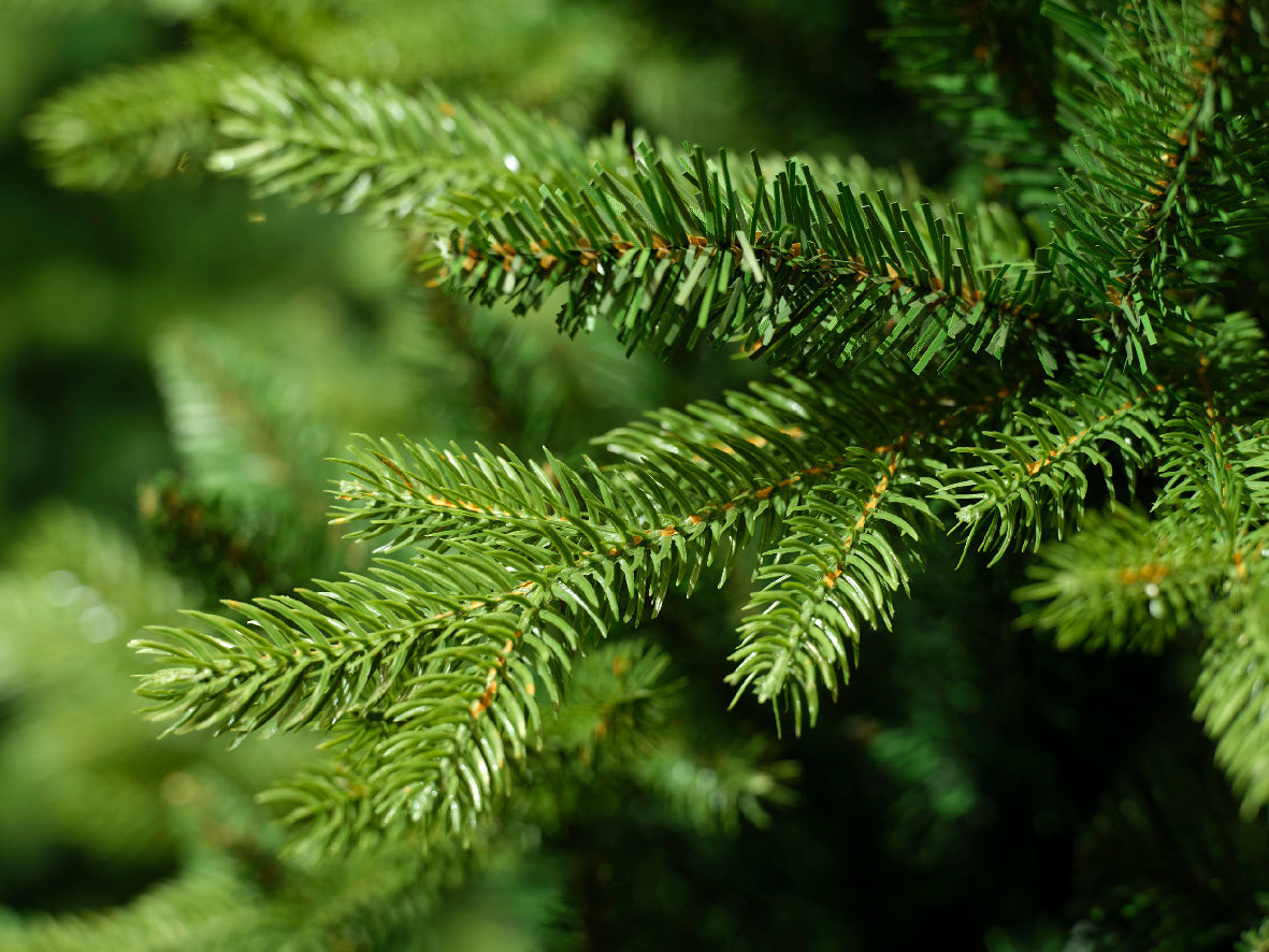 ALBERO DI NATALE ALLISON H180CM VERDE