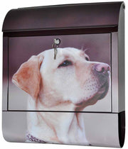 CASSETTA DELLA POSTA SONORA DECORATA LABRADOR 45X38X12 CM