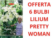 OFFERTA 6 BULBI DI LILIUM HYBRIDS PRETTY WOMAN