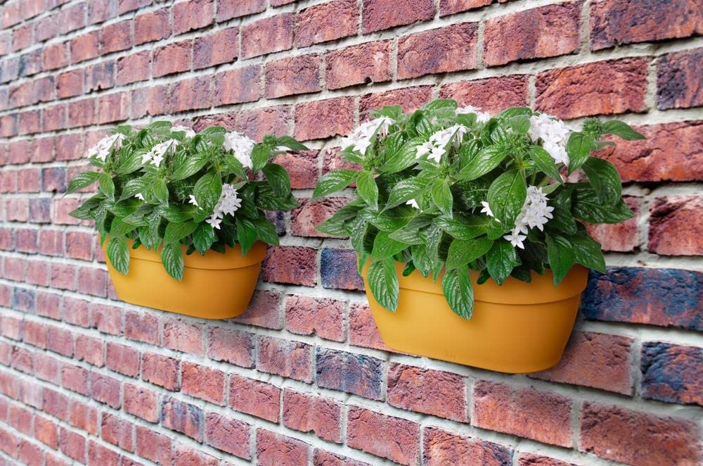 VASO BALCONETTA VIBIA CAMPANA WALL BASKET 35CM HONEY YELLOW
