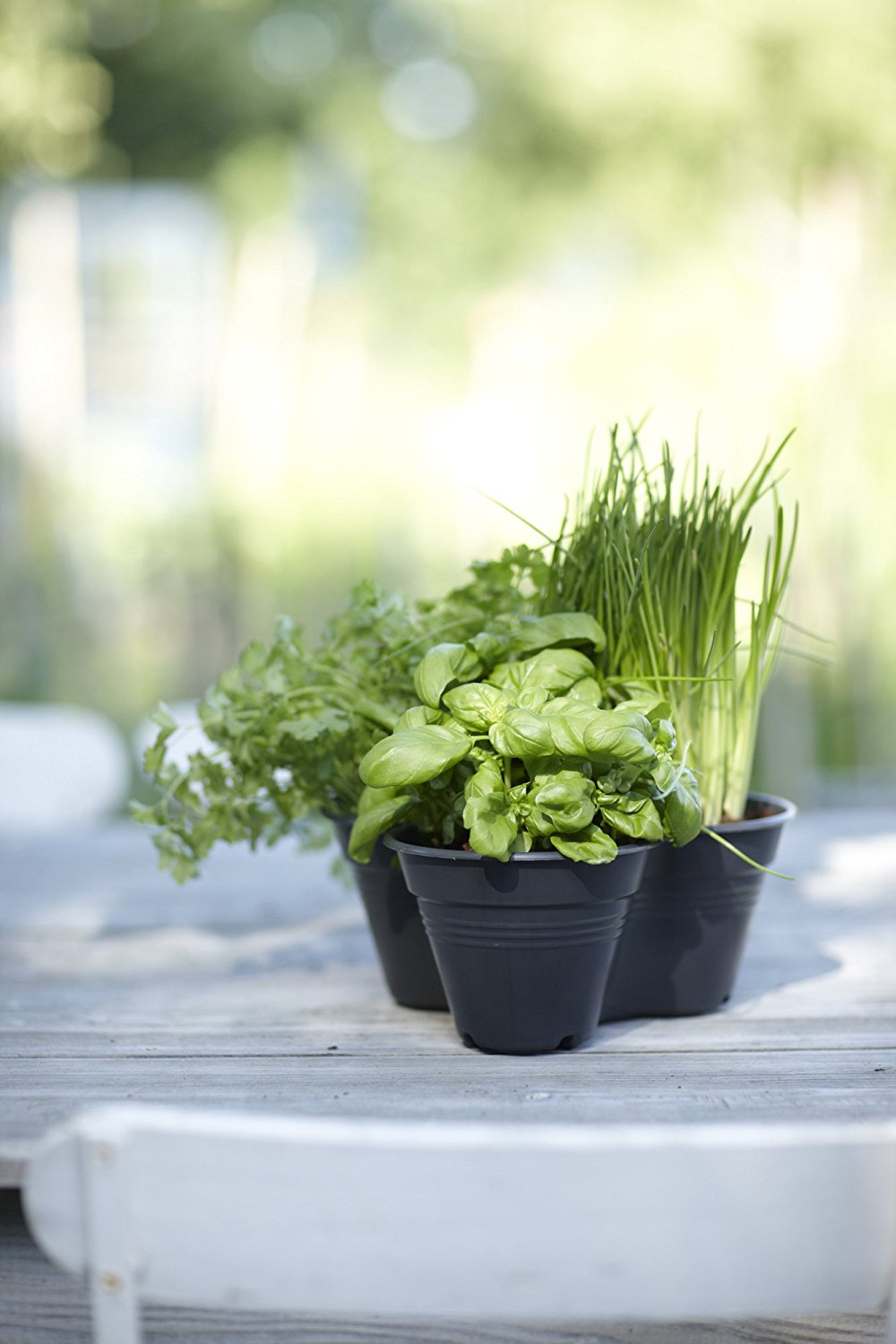 VASO GREEN BASICS GROWSET 26CM COLORE A SCELTA