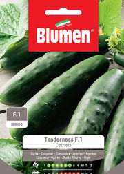 SEMI CETRIOLO TENDERNESS