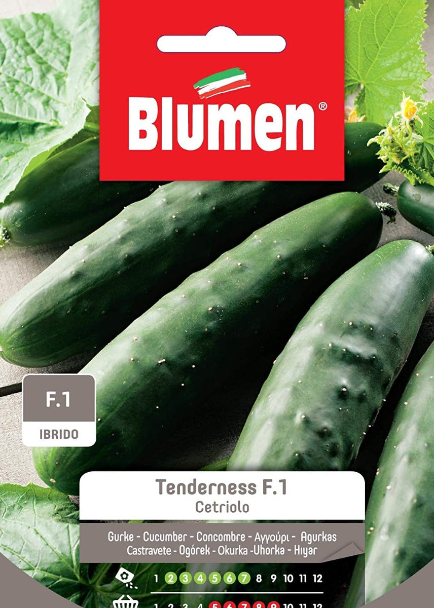 SEMI CETRIOLO TENDERNESS
