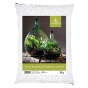 PIETRE DRENANTI 5 KG PER ECOSISTEMA TERRARIUM