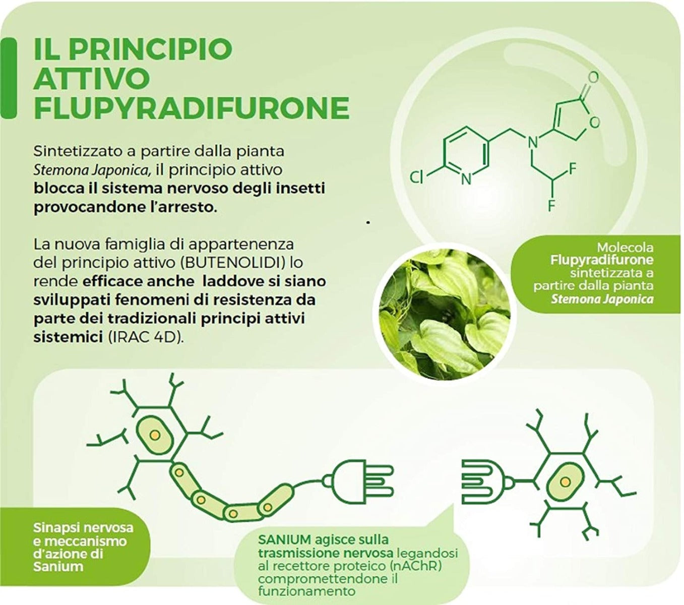 INSETTICIDA SANIUM SISTEMICO IN PASTIGLIE 20PZ