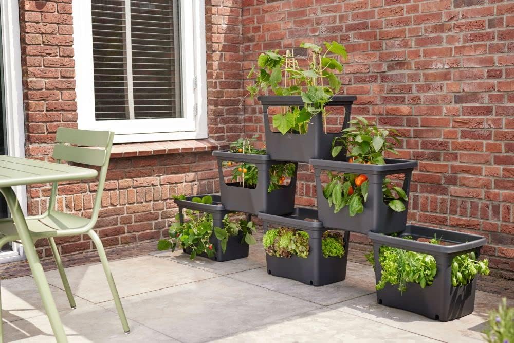 FIORIERIA GREEN BASICS STACK & GROW LARGE LIVING BLACK DA COLTIVAZIONE