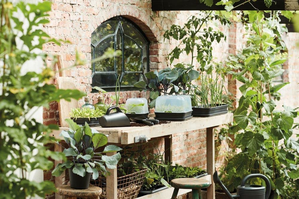 SERRA GREEN BASICS GROW HOUSE M TRASPARENTE