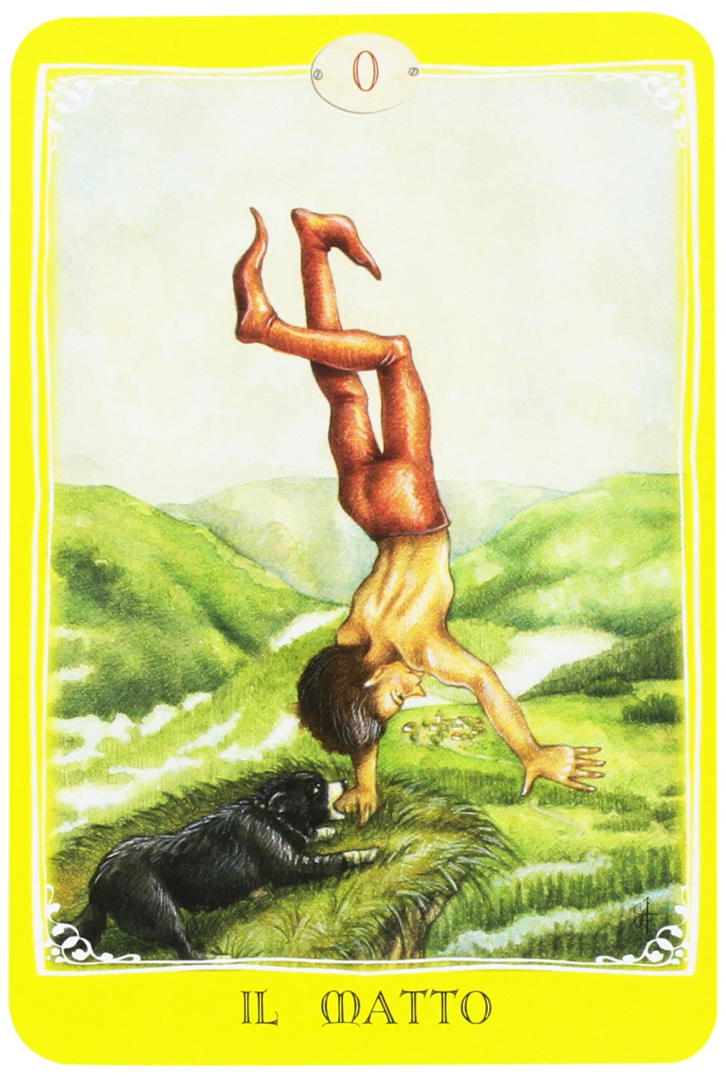 LIBRO TAROCCHI IN VIAGGIO NEL NOSTRO FUTURO