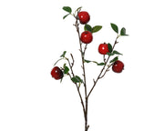 Ramo Melo con Foglie Verdi H.60 cm