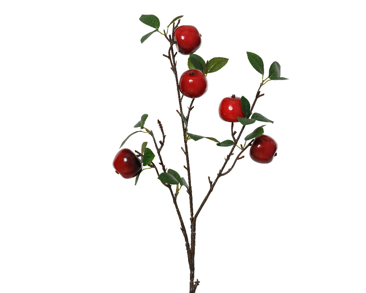 Ramo Melo con Foglie Verdi H.60 cm