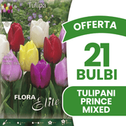 OFFERTA 21 BULBI TULIPANO PRINCE MIX DI COLORI
