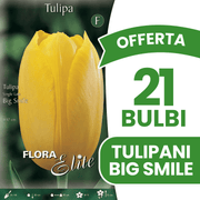 OFFERTA 21 BULBI DI TULIPANO SINGLE LATE BIG SMILE