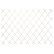 TRALICCIO BIANCO ESTENSIBILE 2X1