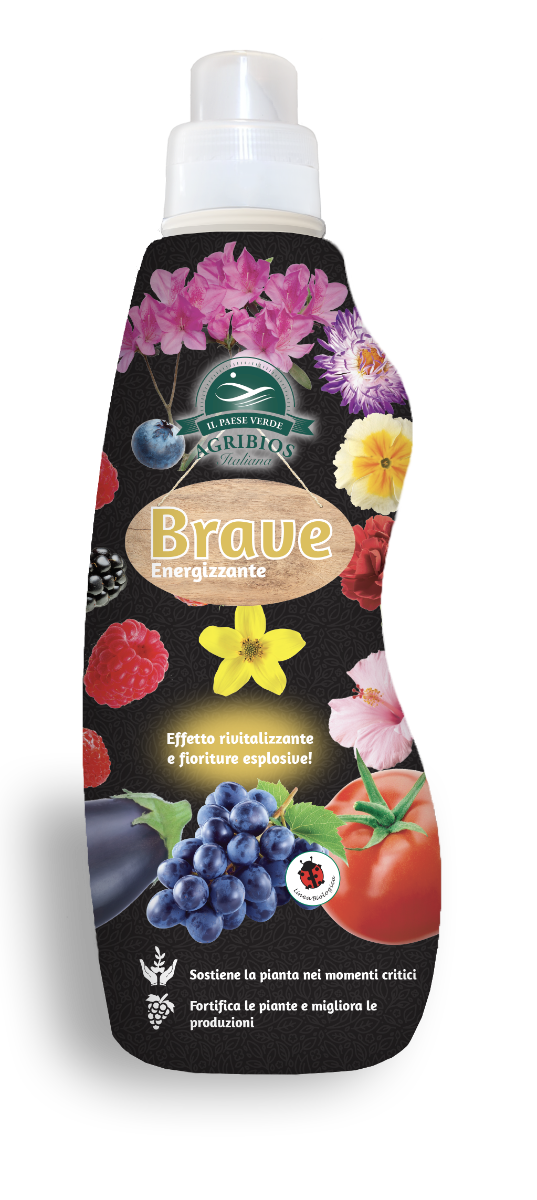 BRAVE ENERGIZZANTE 1LT