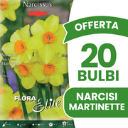 OFFERTA 20 BULBI NARCISO MULTI-FLOWERED MARTINETTE